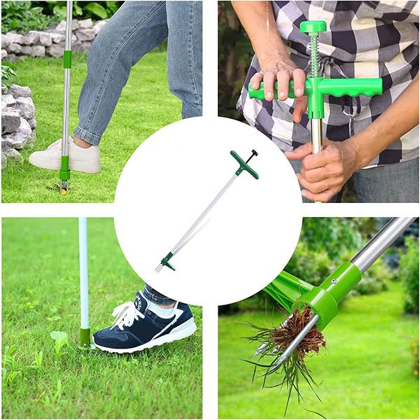 SPINOUT19505__52310e55 (1)